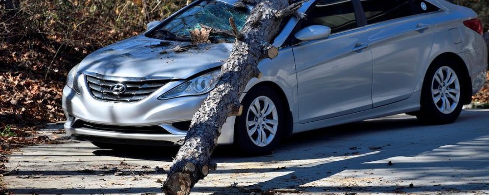Drzewo spadło na samochód – co zrobić?